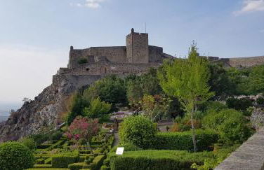 Casa do Pássaro - Foto 74