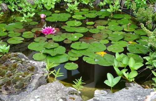 Ferienwohnung BogenTenne - Foto 7