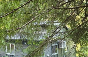 Dovetail Den - Tranquil with Hot Tub and Air Conditioning - Foto 19