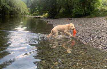 Chapel Cottage - Photo 33