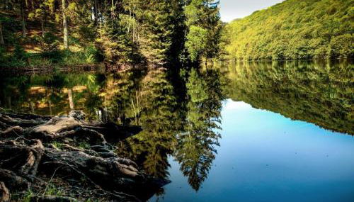 Haus Oberkirchen Nähe Winterberg bis 20 P - Foto 4