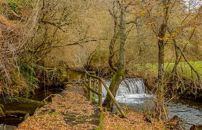 Belvilla by OYO Casa de Campo Villanueva de Oscos - Foto 38