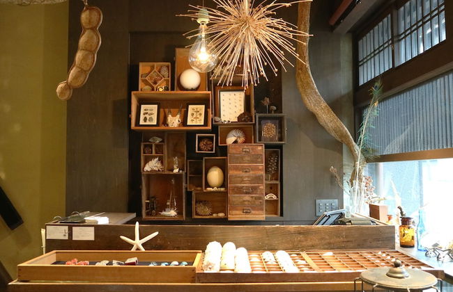 Usagi No Nedoko - Foto 2