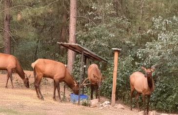 Peaceful Boise Retreat 3BR with Cozy Deck - Foto 39