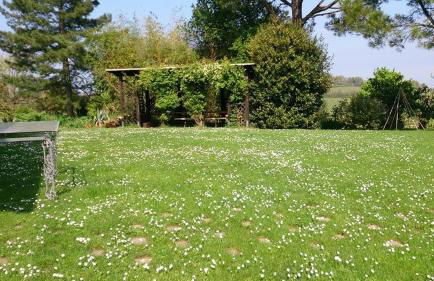 Agriturismo Ca' de' Gatti - Photo 38