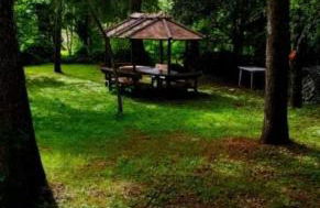 La Stella Alpina - Photo 34