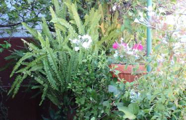 RURAL HOUSES SERAFIN Casa Rural Serafin THE BEST VIEWS - Foto 31