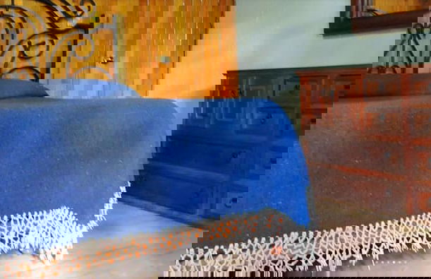 Cabañas Sierra del Tecuan - Foto 3