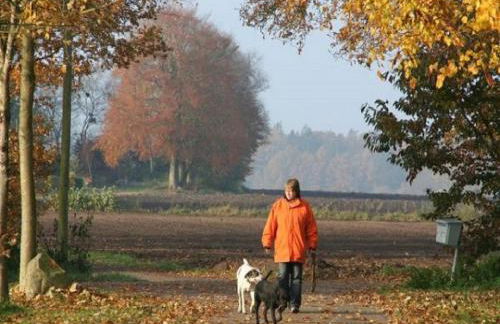 Ferienhof Ekenhoff - Foto 16