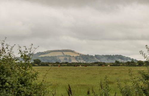 Delphine Lodge, Meadow View Lodges - Foto 30