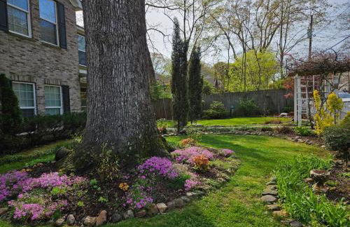 Close to Downtown, 11-Person Swim Spa-Hot Tub, 75" TV 4 Movie Nights, Spacious, Walk To Restaurants, Ping Pong - Foto 7