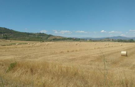 Marrucheto - Foto 42