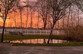 Tiny House Südliches Friesland-FRI Natur erleben - Foto 16