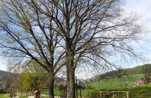 Alte Schmiede - Foto 11