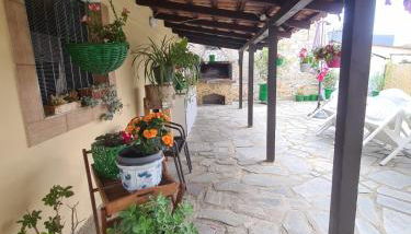 Hermes - Photo 2, Garden, Garden view