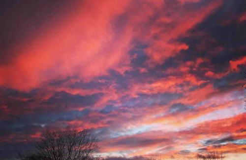 The Nookery - Foto 55