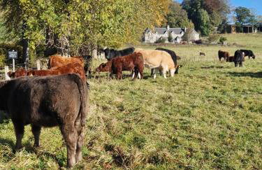 Fyne Byre Cottage - Barn Conversion with Hot Tub - Foto 52