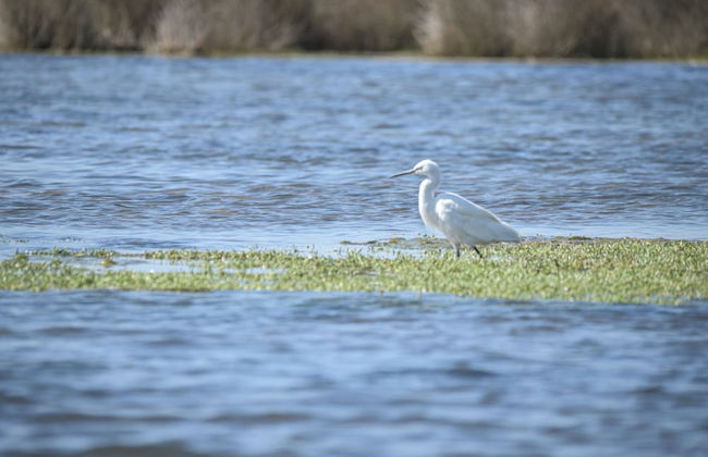 L'Ermitage Quagga Lodge - Photo 19