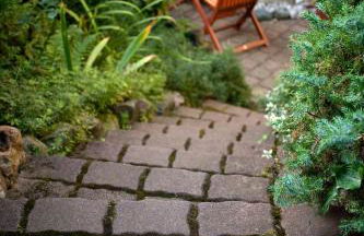 Ferienwohnung Ginkgo - Foto 29