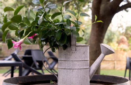 Agriturismo I Tre Fossi - Foto 21