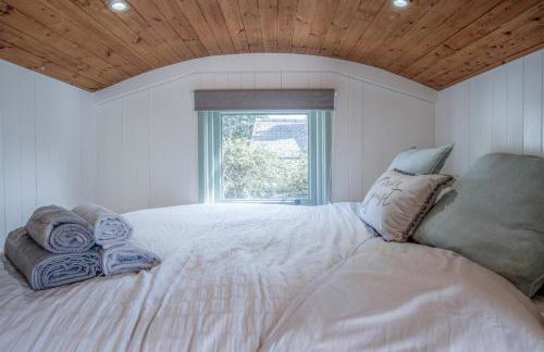 Willow - 1 Bedroom Shepherds Hut - Amroth - Foto 41