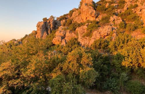 Elis superb villa - Foto 49