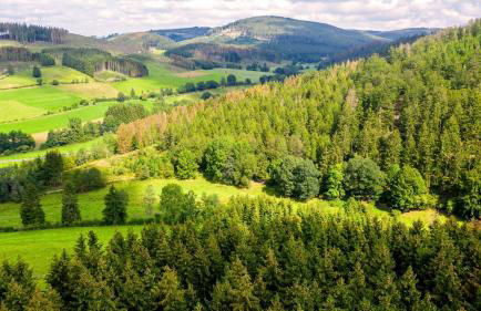 Ferienhaus am Südwall links - Foto 42