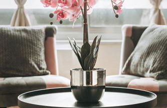 Studio côté nature - trois épis de Turckheim - Foto 17