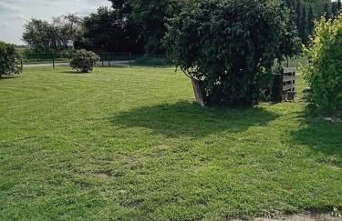 Hof Baethcke - Foto 20