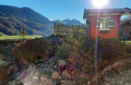 Ferienwohnung Feichtlgütl - Foto 5