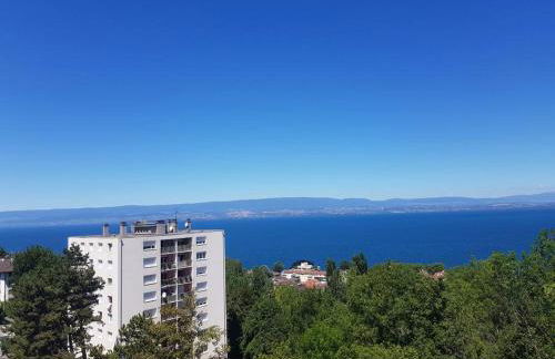 Appartement d'exception - Vue panoramique sur lac - Foto 16