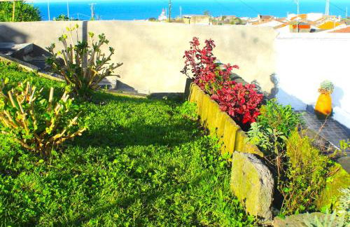 Casa da Salga - Photo 41