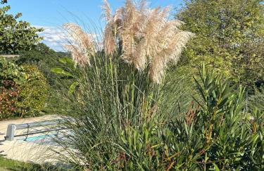 DOMAINE D'ELUSA - Photo 49