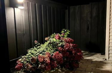 Luxurious Home Away from Home ! 30 minutes to NYC ! - Foto 74