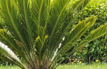 Le paradis des enfants et sa maison en bois - Foto 63