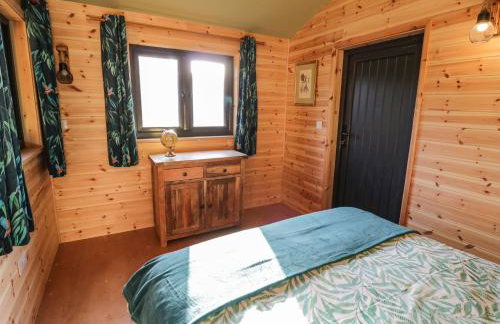 Kingfisher - Foto 12