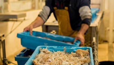 Exclusivo Chalet a Pie de Costa - Photo 4