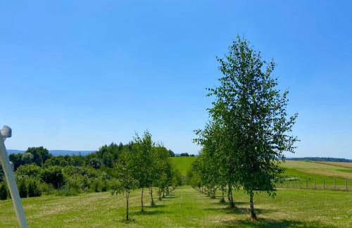 Agroturystyka Zdolina - Foto 11