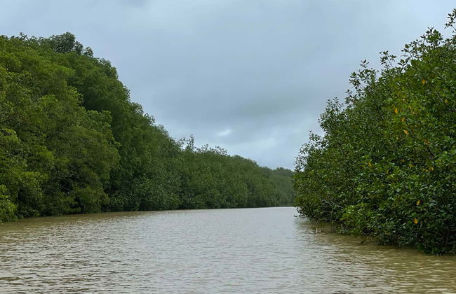 Tour por los manglares de Manuel Antonio - Foto 7