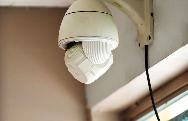 Papaya Dreams - Foto 39