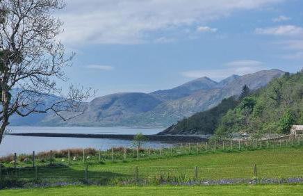 Highland Hideaway - Photo 63