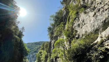 Cœur de provence - Foto 2