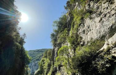 Cœur de provence - Foto 2