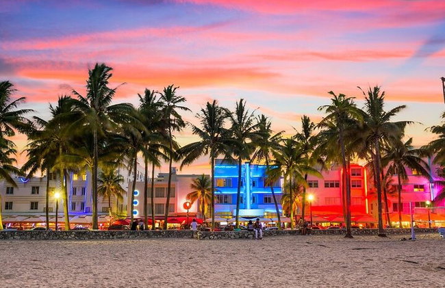 Miami : Transferência Privada do Aeroporto MIA Downtown/Beach/Hollywood - Foto 12