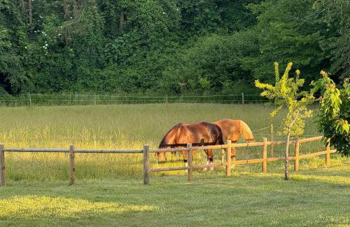 Logement entier de charme, gite équestre GERS Flamarens - Foto 9