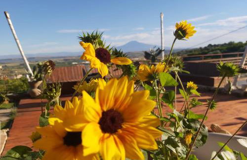 La Terrazza di Cirico' - Foto 33