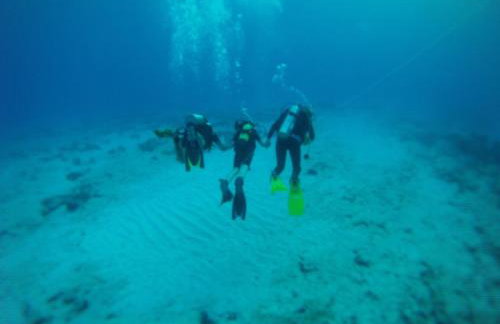 Paradise Studios - Foto 77