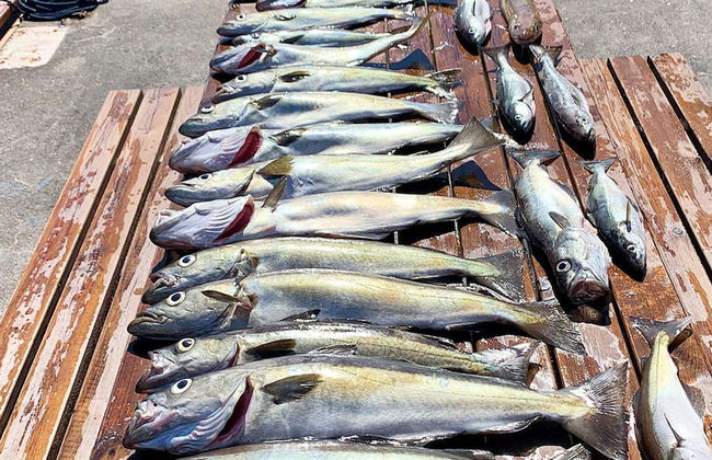 Seaside Fisherman s Haven-by Traum - Foto 45