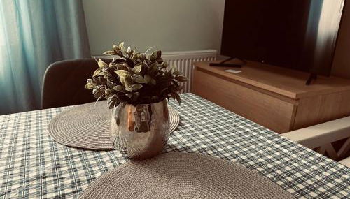 1Zi Ferienwohnung bis zu 3 Personen für Dienstreisende in Loßburg Schwarzwald - Foto 3