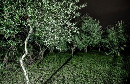 Casa Vacanze Vista Monviso - Photo 37